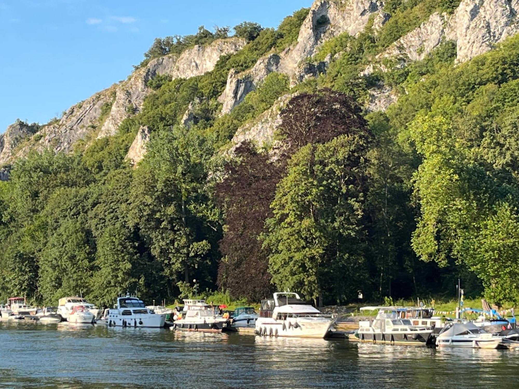Villa Entre Roche&Meuse à Hastiere-par-dela Extérieur photo